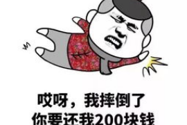 西藏如果欠债的人消失了怎么查找，专业讨债公司的找人方法